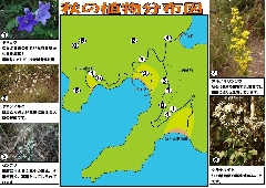 vOЉ